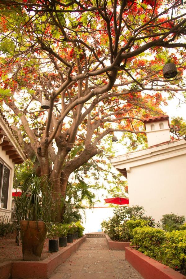 Casa Maria Emilia Otel Cuernavaca Dış mekan fotoğraf