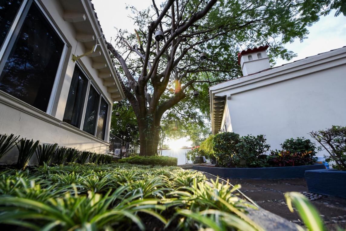 Casa Maria Emilia Otel Cuernavaca Dış mekan fotoğraf